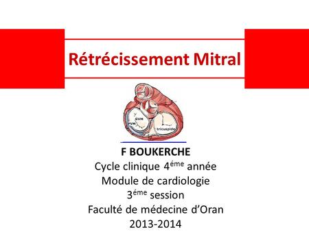 Rétrécissement Mitral F BOUKERCHE Cycle clinique 4 éme année Module de cardiologie 3 éme session Faculté de médecine d’Oran 2013-2014.