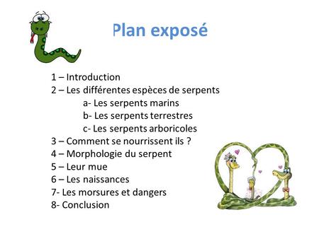 Plan exposé 1 – Introduction 2 – Les différentes espèces de serpents